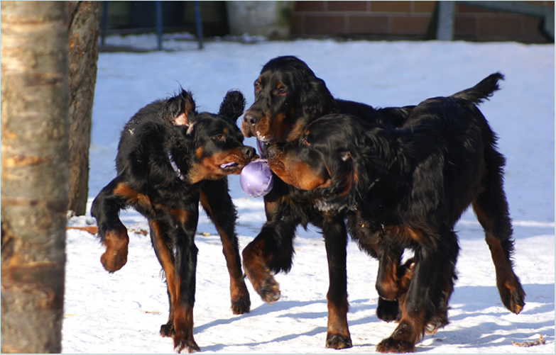 Brenton, Crosby & Button